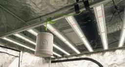 Grow Sensor PRO: Precision Canopy-Level Monitoring for Indoor Cultivation - view 3