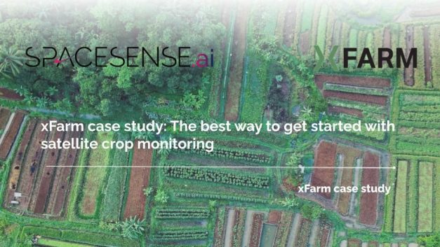 SpaceSense: Satellite Agricultural Monitoring - Image 2