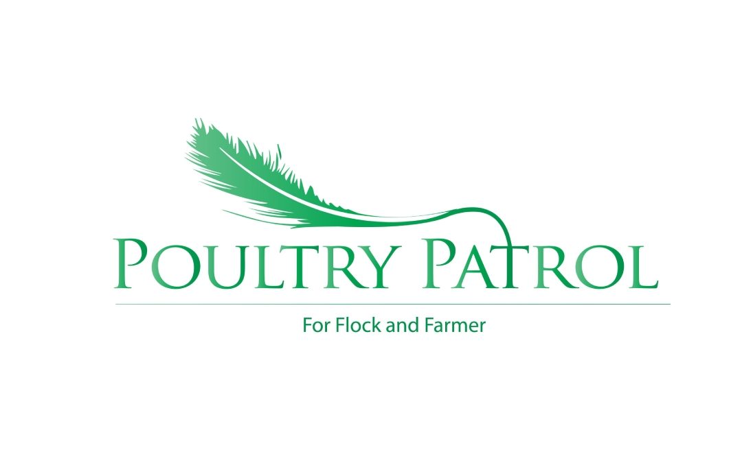 Poultry Patrol: Autonomous Poultry Robot