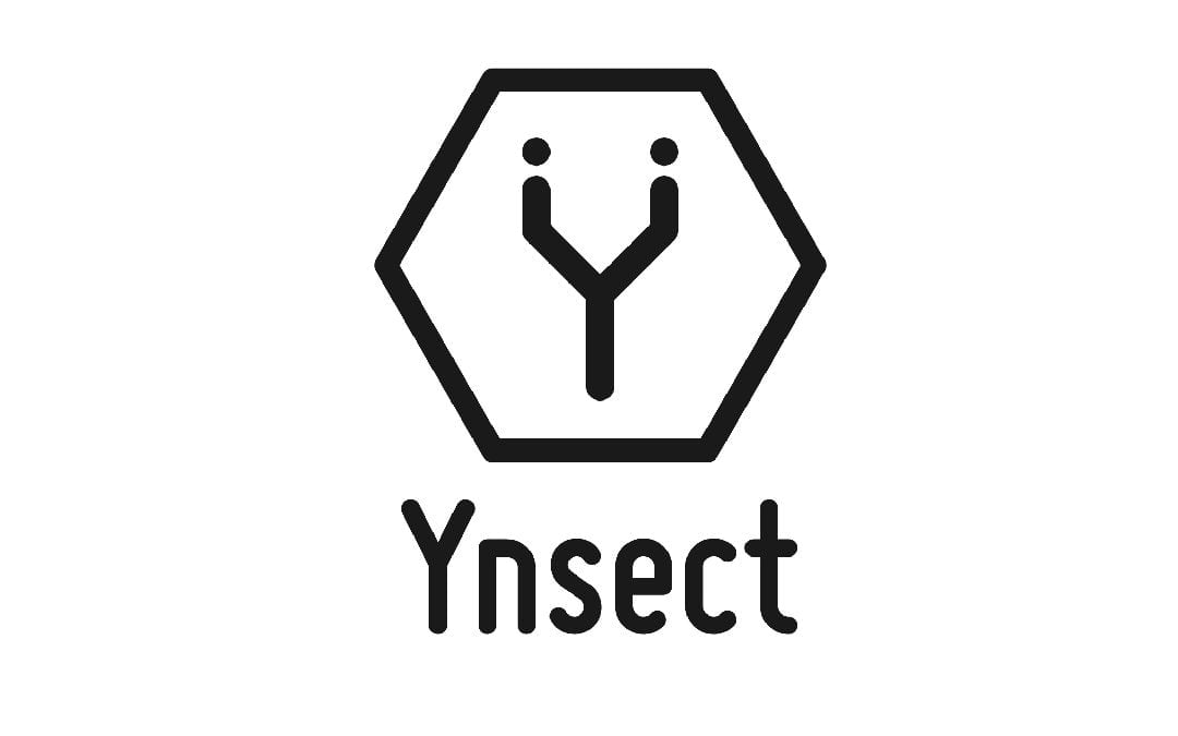 Ynsect: proteína de inseto sustentável