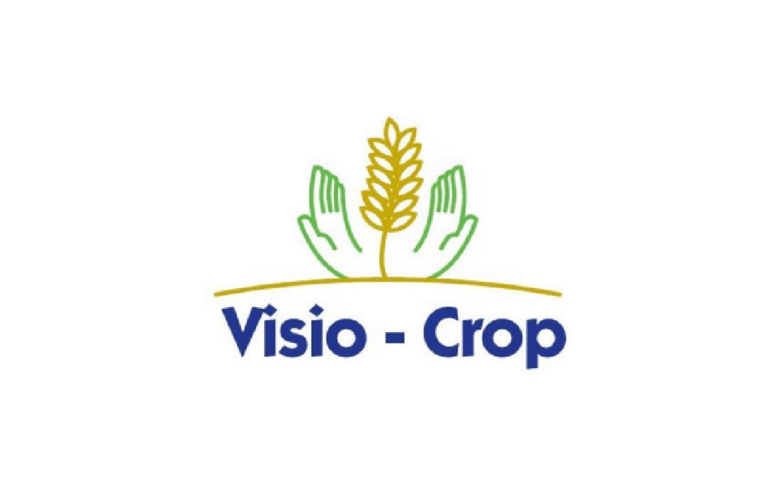 Visio-Crop: AI 기반 작물 분석